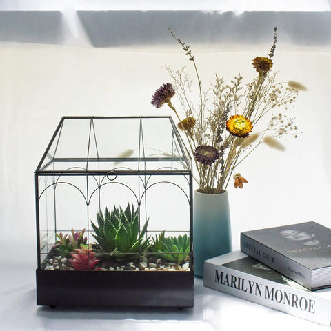 Tall Glass Plant Terrarium With Lip And Tray On Wheels For Home Succulents And Houseplants Glass Greenhouse Waterproof Brass Tray With Dope Wheels 9.5 By 5.7 By 11.4 Inches