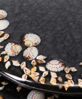 Close-up of Deluxe Resin Maui Decorative Elongated Toilet Seat With Slow Close And No Slam Chrome Hinges For Coastal Beach House Decor Shells Theme Durable Reinforced Resin Construction showing shell details.