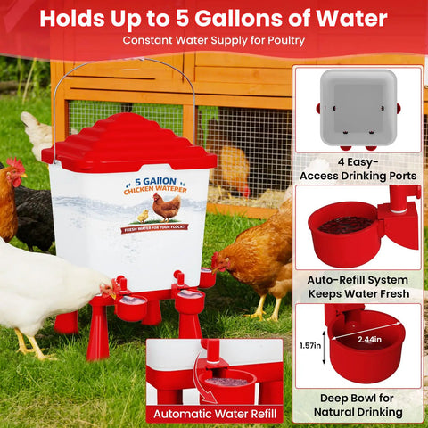 All In One Chicken Feeder And Waterer Set 5 Gallon Automatic Waterer With Cups No Waste 40 Lb Feeder shown in use with chickens