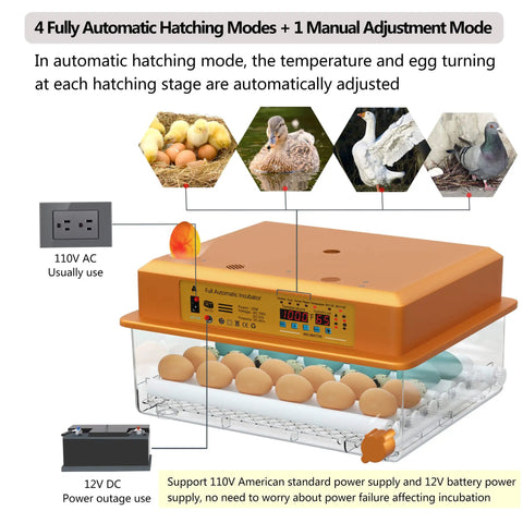 Automatic Egg Incubator For Hatching Eggs With Humidity Control And Auto Egg Turning 36 Egg Capacity For Chicken Quail Duck