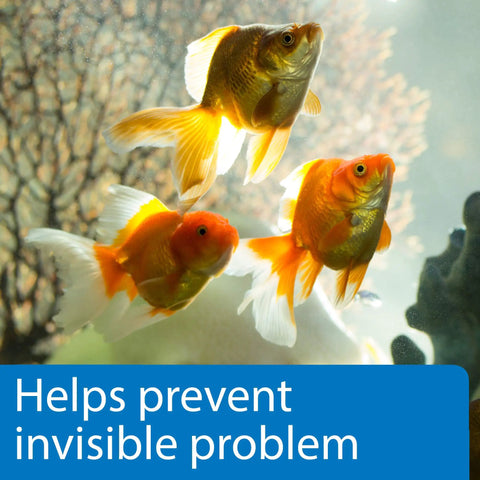 Hella Reliable 5In1 Aquarium Test Strips Keep Your Freshwater And Saltwater Tanks Flopping Smooth Checks PH Nitrite Nitrate Hardness 100 Count with goldfish in aquarium.