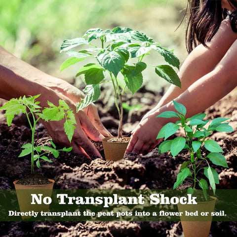Hands planting seedlings in garden using Biodegradable Seedling Pots 120 Pack 3.15 Inch With 30 Plant Labels For Easy Garden Germination Seed Starter Kit For Flowers And Veggies Eco Friendly Nursery Pots