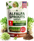 Alfalfa Sprout Seeds 8 Oz Bulk Heirloom Non GMO USA Sourced High Germination Fast Growing Microgreens Nutrient Dense Sprouting