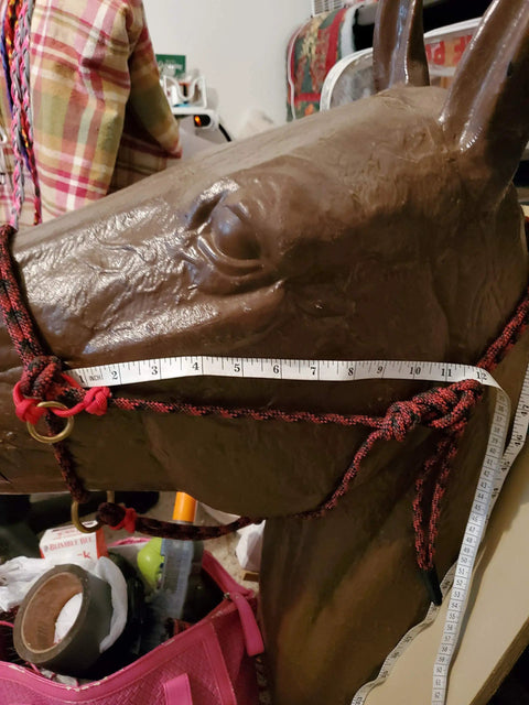 Sliding Ring Rope Halter For Horse Training All Ages And Types Keeps Your Halter From Twisting And Helps Teach The Basics in use