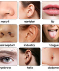 Different body piercings showing nose, ear, lip, septum, tongue, eyebrow, helix, and abdomen using Piercing Ball Grabber Tool.