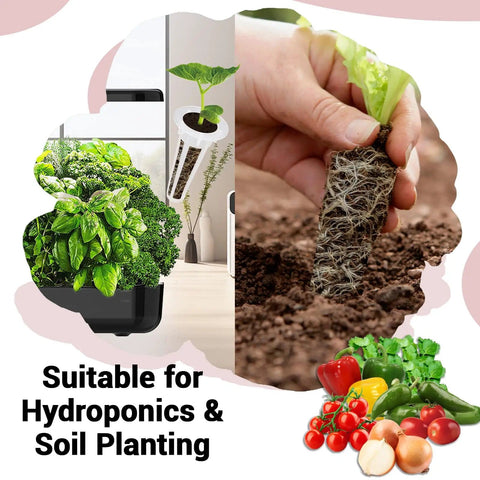 All In One Hydroponic Seed Pod Kit With Eight Pods And Over Six Hundred Heirloom Non GMO Seeds For Various Vegetables