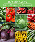 Collage of heirloom vegetables from 15 Pack Heirloom Vegetable Seed Kit For Indoor Or Outdoor Gardens Non GMO Family Gift.