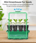 3-Pack Seed Starter Trays With Adjustable Humidity Dome And Base Indoor Greenhouse Propagator 12 Cells Green Heat Mat Ready