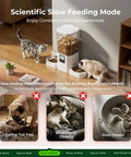 Slick Dual Pet Feeder For Cats And Dogs With Slow Feed Dispenser Programmable Timer handling two pets with adjustable portions.
