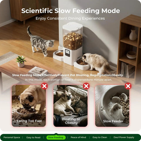 Slick Dual Pet Feeder For Cats And Dogs With Slow Feed Dispenser Programmable Timer handling two pets with adjustable portions.