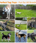 Multiple dogs playing with Outdoor Bungee Tug Toy For Dogs Tree Hanging Rope Tug Interactive Chew Rope in different backyards
