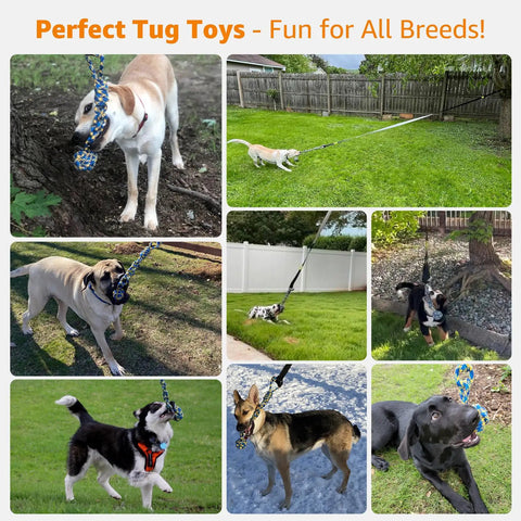 Multiple dogs playing with Outdoor Bungee Tug Toy For Dogs Tree Hanging Rope Tug Interactive Chew Rope in different backyards