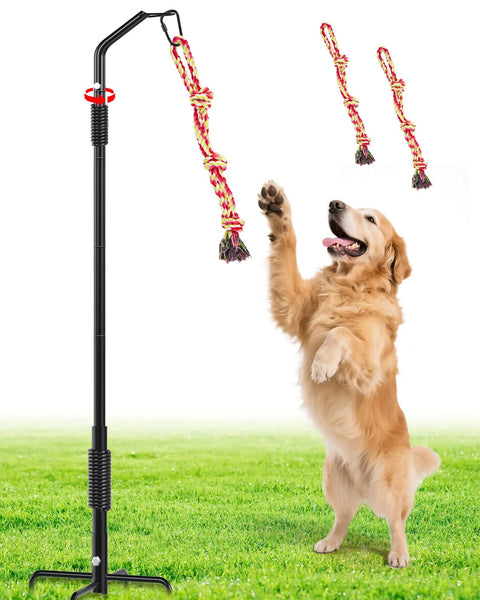 360 Degree Rotation Tether Dog Rope Toy Set For Solo Yard Park Play with dog playing and tugging on rope toy outdoors