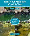 Before and after shots of ponds using the All In One Pond Fountain Kit With 550GPH Pump Three Spray Patterns Color LED And UV Light