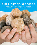 Hands holding full-sized geodes from Hands On Geode Break Open Kit For Kids With 10 Premium Geodes And Crystal Treasures Inside.