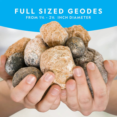 Hands holding full-sized geodes from Hands On Geode Break Open Kit For Kids With 10 Premium Geodes And Crystal Treasures Inside.