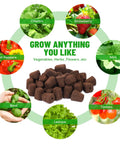 40 Seed Starter Plugs With Tray Set For Quick Germination And Easy Planting, Baltic Peat Moss Grow Sponges with herb and veggie images