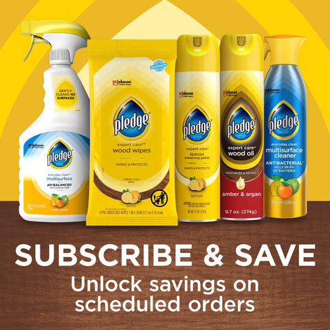 Expert Care Wood Wipes With Lemon Scent For Sealed Wood Leather Granite And Stainless Steel Quick Shine Buff And Protect Polisher Wipes In A 24 Count Pack shown among cleaning products in a promotional image.