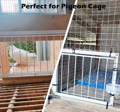 Beefy Steel Frame Loft Pigeon Trap Door Rust Resistant Bird Cage Entrance with white pigeon and wire mesh view