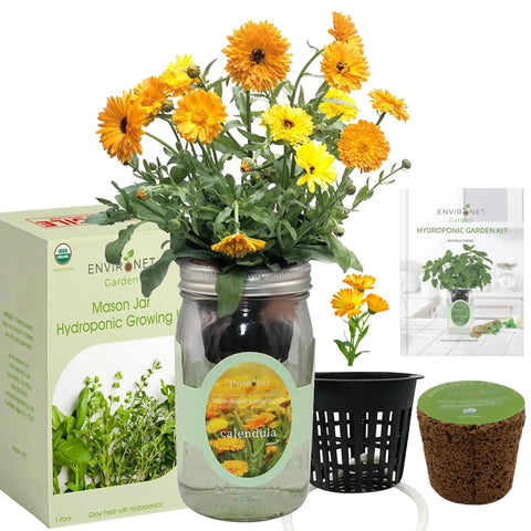 Hydroponic Calendula Growing Kit In A Self Watering Mason Jar Garden, Indoor No Fuss Starter For Calendula From Organic Seeds, Includes Net Pot With Wick And Preseeded Grow Plug. Mason jar with blooming calendula, net pot, plug, and box