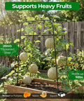Heavy Duty Garden Arch Trellis For Climbing Plants With Screw Fixation, Rustproof Steel Frame Stands 83 Inches Tall in use with pumpkins