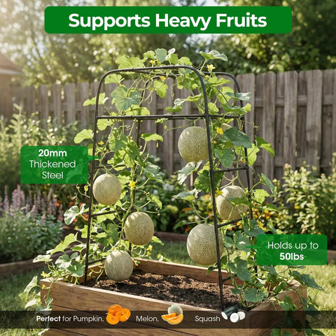 Heavy Duty Garden Arch Trellis For Climbing Plants With Screw Fixation, Rustproof Steel Frame Stands 83 Inches Tall in use with pumpkins