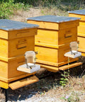 Two Pack Light Wood Beehive Entrance Feeders For Hive Front Water Or Sugar Syrup Bee Watering Station And Drinking Tool