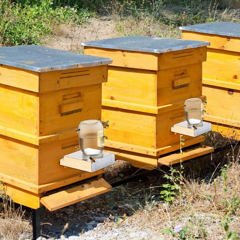 Two Pack Light Wood Beehive Entrance Feeders For Hive Front Water Or Sugar Syrup Bee Watering Station And Drinking Tool