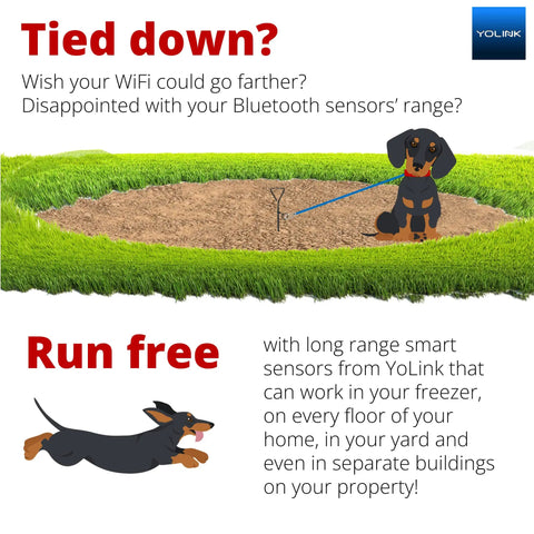 Cartoon dog illustrating range of No Brainer Long Range Smart Power Strip With Four USB Ports And Four AC Outlets, Alexa Google IFTTT.