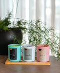 Premium Soy Candle Making Kit Full Set With Soy Wax 7 Oz Jars And Tins, 7 Pleasant Scents displayed on wooden tray