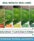 Progression of lawn health over 4 weeks using Liquid Soil Aerator And Oxygen Active Biostimulant, improving soil and grass condition.