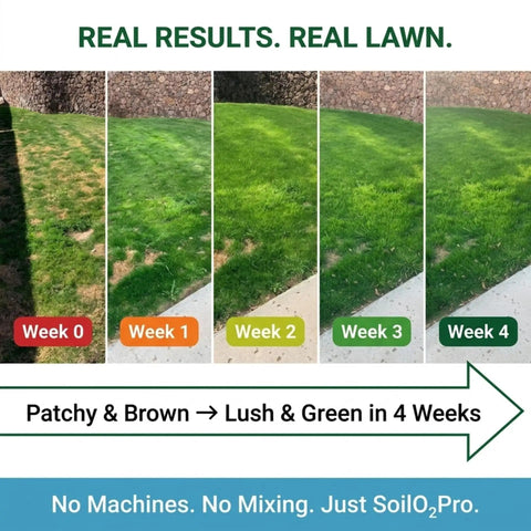 Progression of lawn health over 4 weeks using Liquid Soil Aerator And Oxygen Active Biostimulant, improving soil and grass condition.