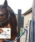 Heavy Duty Stainless Steel Horse Tie Ring Set with Eye Bolt and Quick Snap attached to post holding rope