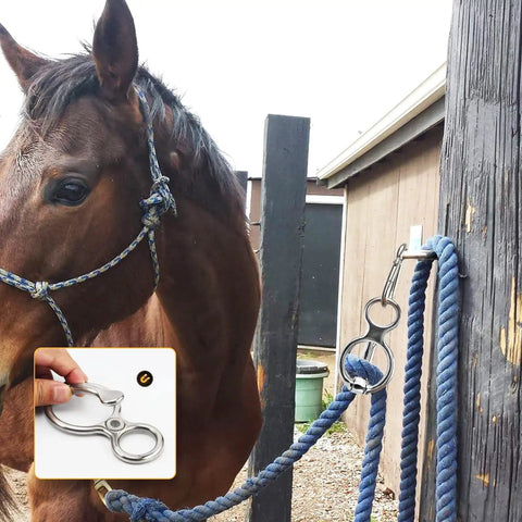 Heavy Duty Stainless Steel Horse Tie Ring Set with Eye Bolt and Quick Snap attached to post holding rope