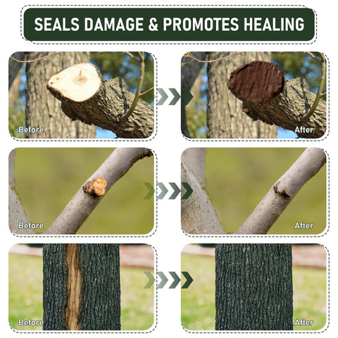 Before and after images showing the effect of Pro Grade Heavy Duty Tree Wound Sealer And Dressing 500G on pruning cuts and bark damage.