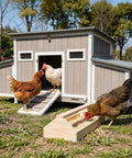 Ultimate 62 Inch Chicken Coop For 2 To 4 Chickens With Four Nesting Boxes Roosting Bars Openable Waterproof Roof Lockable Doors And Pull Out Tray Weatherproof Outdoor Fir Wood Hen House With Lockable Ladder Door Ramp Security, chickens outside eating