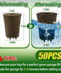 50 Pcs Rooting Sponges And Starter Plugs For Seedlings Or Cuttings showing size change before and after soaking