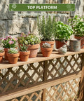 Wooden two tier raised garden bed with trellis and lattice back for climbing plants, displaying small potted plants on top platform.
