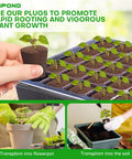 Pro Grade Grow Sponges Seed Starter Plugs For Cuttings In Soil Or Trays And Planting Pods, 50 Pcs, shown in use with seedlings
