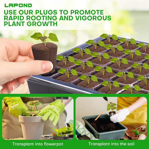 Pro Grade Grow Sponges Seed Starter Plugs For Cuttings In Soil Or Trays And Planting Pods, 50 Pcs, shown in use with seedlings