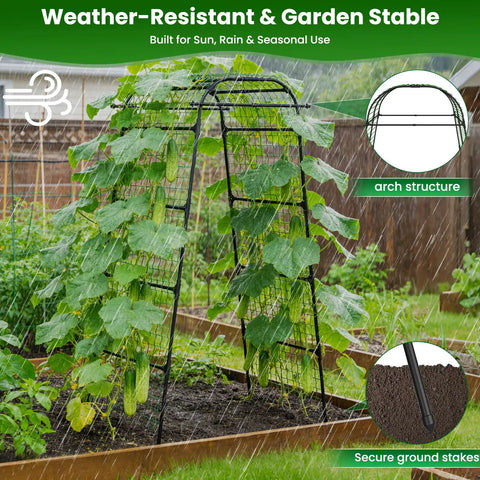 Heavy Duty Garden Arch Trellis For Climbing Plants With Walk Through Metal Frame And Netting Seven Point Two Feet Tall in rain