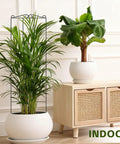 4 Pack 31 Inch Tall Metal Plant Trellis for Indoor and Outdoor Use with potted plant in white pot, rectangular design