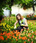 Gardener using Uprooting Weeding Tool With Four Teeth in flower garden