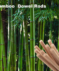 Premium Smooth Bamboo Wood Dowel Rods For Crafting, 1/2 X 15 Inch unfinished sticks with green bamboo background.