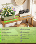 12 Pod Indoor Hydroponics Growing System with 24W LED Grow Light contrasted against soil growing; benefits listed.
