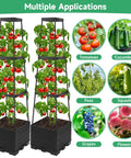2 Pack Tomato Planter Pots With Raised Bed Trellis And 45 Inch Climbing Cages for various crops shown in use