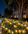 200 LED Warm White Christmas Lights On 66ft Green Wire UL Certified lighting a garden pathway at night