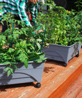 City Picker Raised Bed Grow Box With Self Watering System And Improved Aeration Mobile Garden With Casters in use on patio