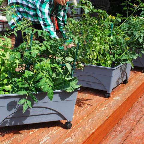 City Picker Raised Bed Grow Box With Self Watering System And Improved Aeration Mobile Garden With Casters in use on patio