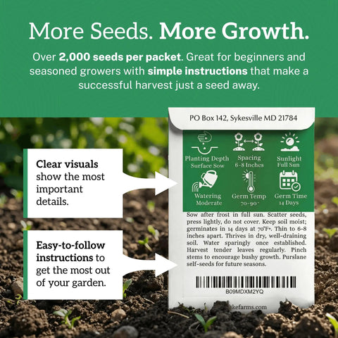 Purslane Seeds Pack 2000 Plus Non GMO Heirloom High Germination Easy To Grow Edible And Medicinal Low Maintenance Ground Cover For Indoor Or Outdoor Gardens Heat Tolerant Drought Resistant